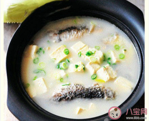 如何燉出奶白鮮美的魚湯 魚湯怎么做好喝