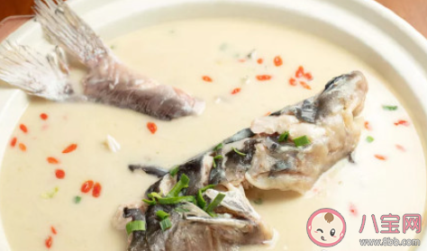 如何燉出奶白鮮美的魚湯 魚湯怎么做好喝