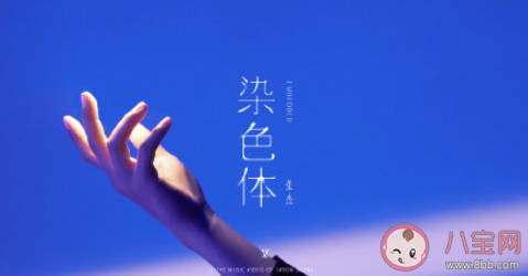 張杰新歌《染色體》歌詞是什么 《染色體》完整版歌詞在線聽歌