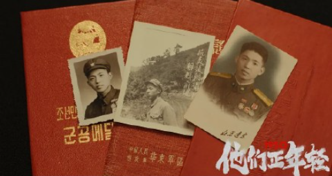 電影《1950他們正年輕》觀后感影評 《1950他們正年輕》感受作文大全