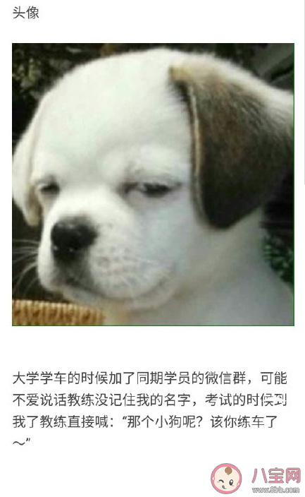 微信頭像會不會影響第一印象 不同風格微信頭像會給人什么感覺 微信頭像會不會影響第一印象 不同風格微信頭像會給人什么感覺