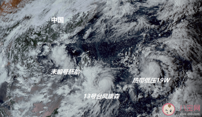 秋臺風為什么這么猛有什么特點 秋臺風主要是登陸我國哪些地區