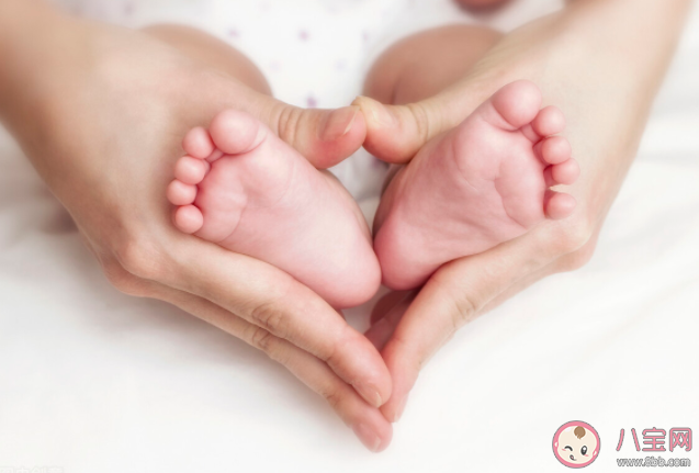 出生缺陷的高危人群有哪些 出生缺陷的三級預(yù)防 出生缺陷的高危人群有哪些 出生缺陷的三級預(yù)防