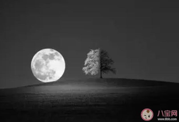 時(shí)光洪流中這份愛多渺小一放手就消散掉是什么歌 《時(shí)光洪流》完整版歌詞在線聽歌