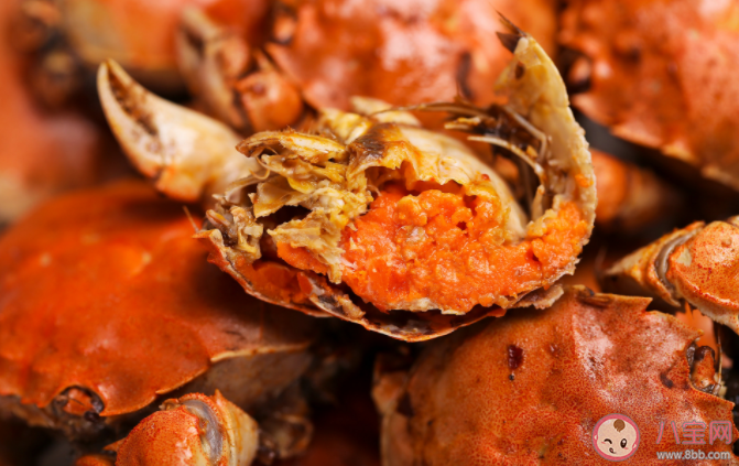 孕婦吃螃蟹會感染寄生蟲嗎 孕婦吃螃蟹需要注意什么 孕婦吃螃蟹會感染寄生蟲嗎 孕婦吃螃蟹需要注意什么