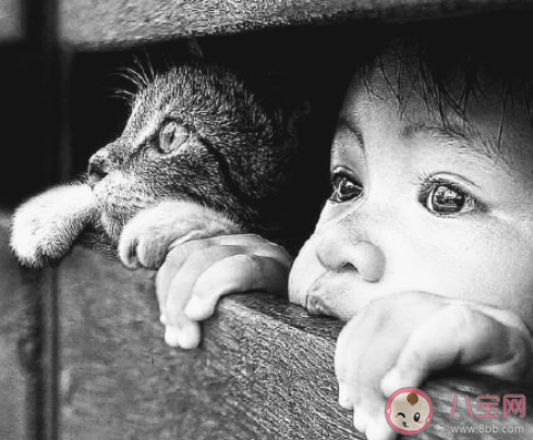 決定感情長久的因素是什么 感情怎么樣才能夠長久