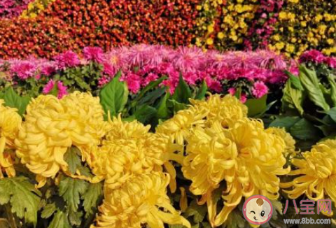 有效道歉和無效道歉的區別是什么 道歉怎么做比較有誠意