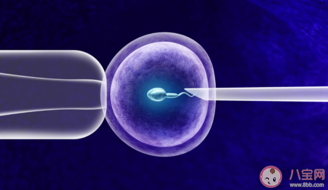什么女性做試管會黃體不足 試管期間黃體不足怎么辦 什么女性做試管會黃體不足 試管期間黃體不足怎么辦