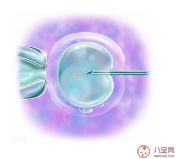 試管嬰兒懷孕更容易流產嗎 懷孕難試管嬰兒是首選嗎 試管嬰兒懷孕更容易流產嗎 懷孕難試管嬰兒是首選嗎