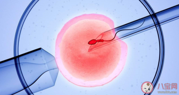 孩子是試管嬰兒要隱瞞嗎 試管嬰兒并非萬(wàn)能