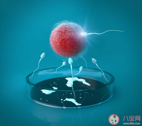 試管嬰兒能一次成功嗎 試管嬰兒為什么反復失敗 試管嬰兒能一次成功嗎 試管嬰兒為什么反復失敗