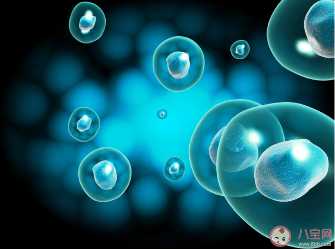 多地規劃新增人類輔助生殖機構 為什么增加輔助生殖機構