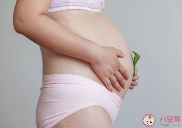 隱性懷孕概率有多大 隱性懷孕有什么危害 隱性懷孕概率有多大 隱性懷孕有什么危害