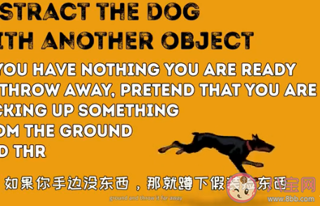 遇到會咬人的狗如何保證自身安全 如何避免被狗咬