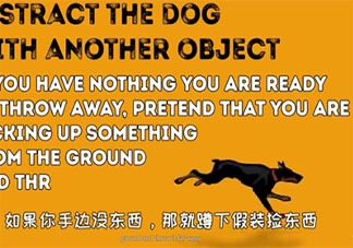 遇到會咬人的狗如何保證自身安全 如何避免被狗咬