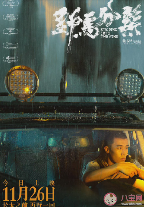 電影《野馬分鬃》好看嗎 《野馬分鬃》講的是什么