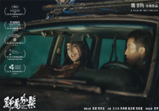 電影《野馬分鬃》好看嗎 《野馬分鬃》講的是什么