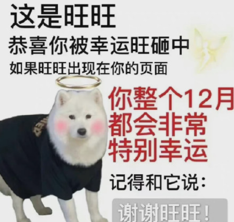 謝謝熹貴妃是什么梗 謝謝熹貴妃為什么火了