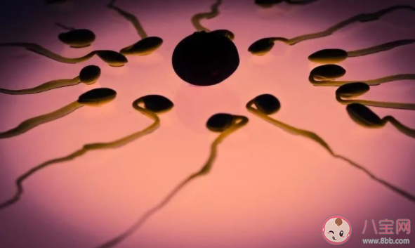 精子質量和季節有關系嗎 冬季備孕手冊 精子質量和季節有關系嗎 冬季備孕手冊