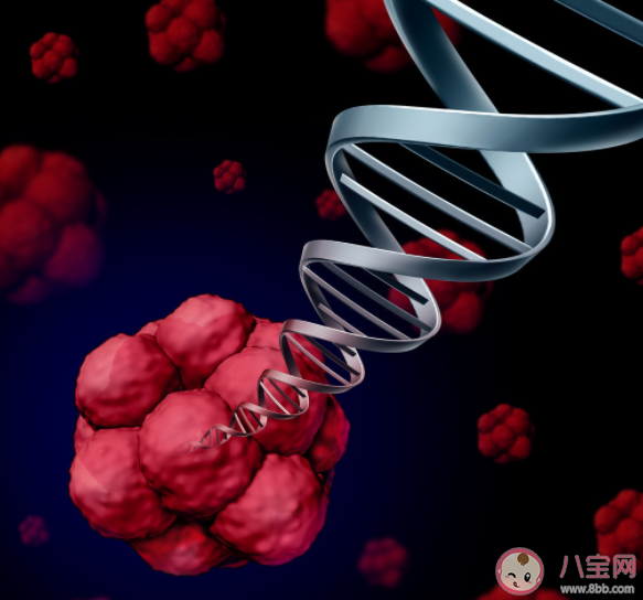 卵巢早衰能做試管嬰兒嗎 卵巢早衰做試管嬰兒要注意什么