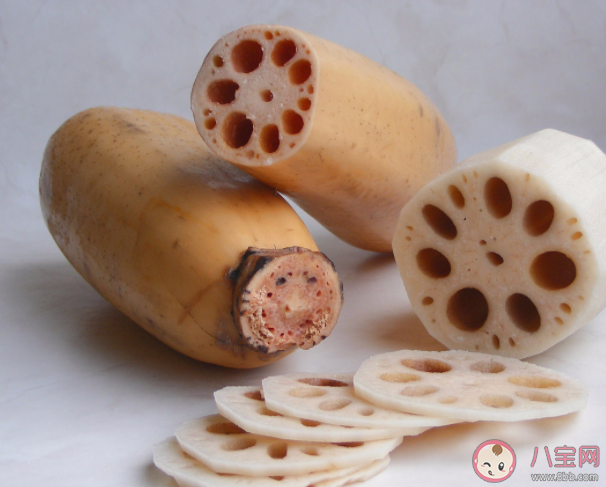 七孔藕和九孔藕哪個更好 蓮藕食療方做法大全