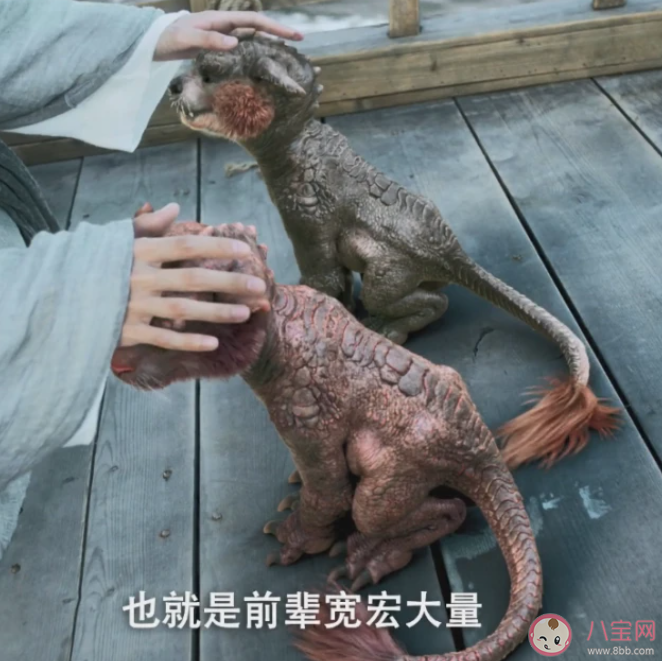 《雪中悍刀行》兩只虎夔結局是什么 金剛和菩薩的結局怎樣