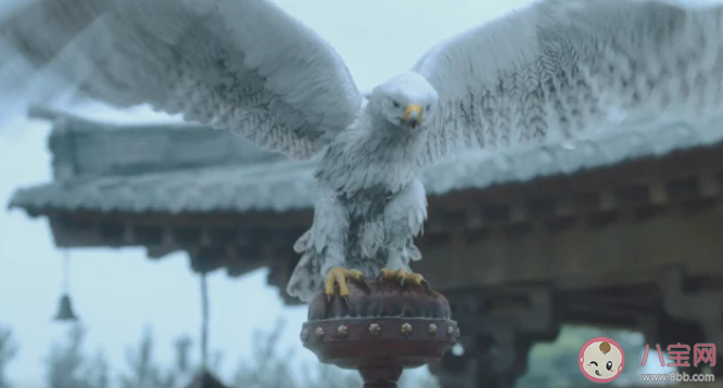 《雪中悍刀行》兩只虎夔結局是什么 金剛和菩薩的結局怎樣