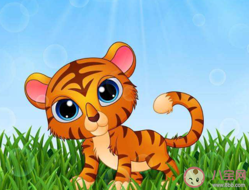 2022幾月開始出生的寶寶屬虎 2022元旦節出生的寶寶屬虎嗎