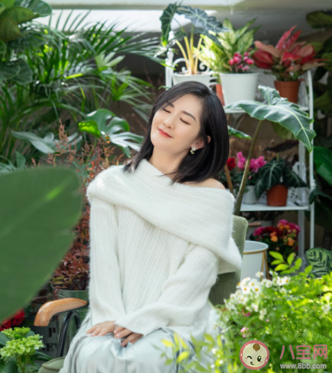 謝娜《小風(fēng)箏》歌詞是什么 《小風(fēng)箏》完整版歌詞在線聽歌