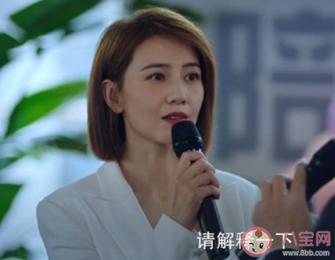 《完美伴侶》劇評怎么樣 《完美伴侶》好不好看