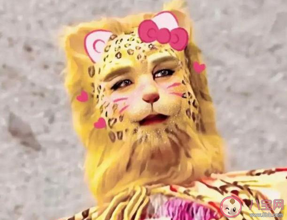 金錢豹頭像是什么梗 西游記金錢豹是哪一集