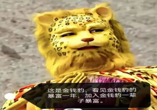 抖音金錢豹梗是什么意思 金錢豹頭像為什么火了