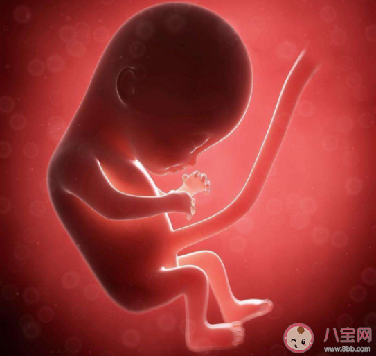 判斷胎兒大小要遵循什么原則 檢查時發現寶寶偏大或者偏小怎么辦