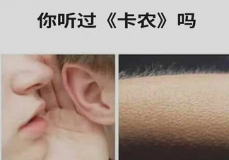 卡農(nóng)警告是什么意思什么梗 卡農(nóng)到底有什么含義