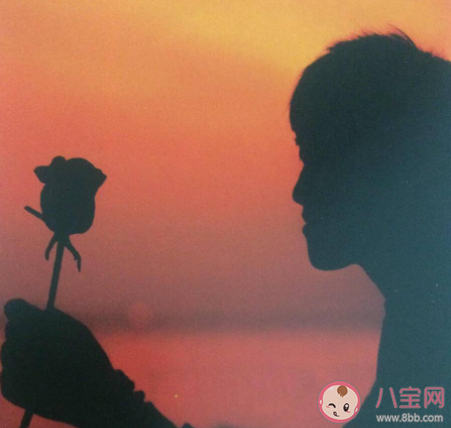 我們啊看過了落葉怎么就沒熬到白雪是什么歌 《我們啊》完整版歌詞在線聽歌