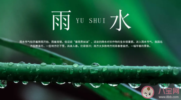 雨水節氣有哪些習俗 雨水節氣禁忌有什么 雨水節氣有哪些習俗 雨水節氣禁忌有什么