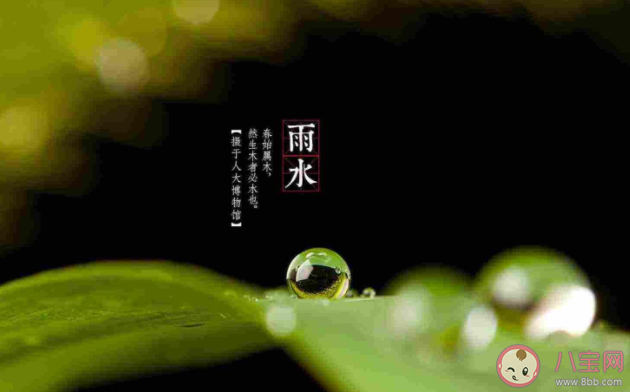 雨水節氣有哪些習俗 雨水節氣禁忌有什么 雨水節氣有哪些習俗 雨水節氣禁忌有什么