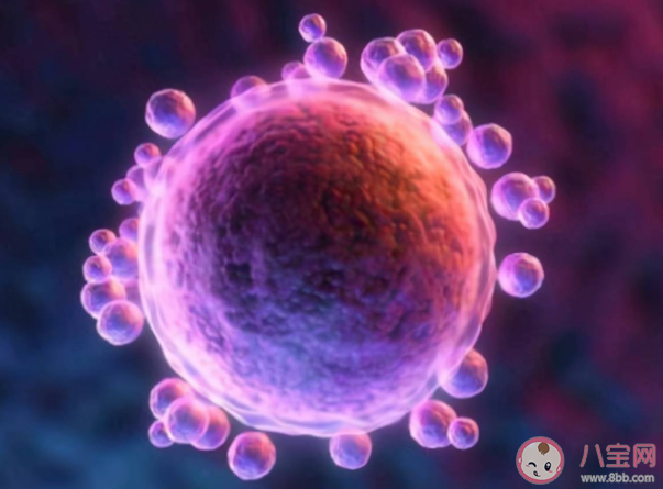 哪些備孕女性需要B超監(jiān)測排卵 卵泡沒發(fā)育成熟就排卵還能懷孕嗎