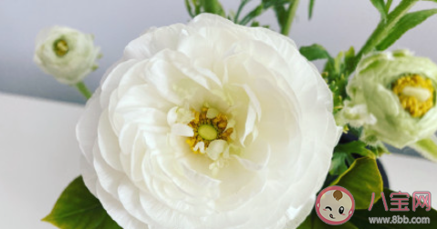 你會特別在意別人的眼光嗎 怎樣才能不在意別人的眼光 你會特別在意別人的眼光嗎 怎樣才能不在意別人的眼光