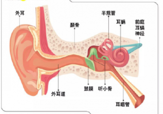 如何預防聽力受損 怎樣保護自己的聽力