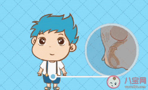 性早熟會給孩子帶來哪些危害 導(dǎo)致性早熟的因素有哪些 性早熟會給孩子帶來哪些危害 導(dǎo)致性早熟的因素有哪些