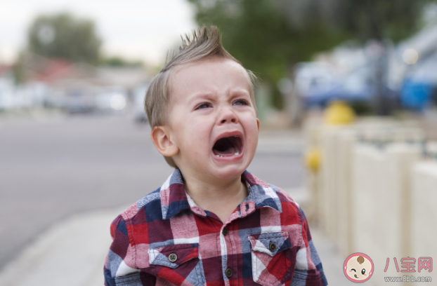 家長怎樣對付無理取鬧的孩子 孩子為什么那么任性 家長怎樣對付無理取鬧的孩子 孩子為什么那么任性