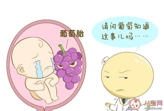 什么原因會造成葡萄胎 完全性葡萄胎和部分性葡萄胎有什么區別 什么原因會造成葡萄胎 完全性葡萄胎和部分性葡萄胎有什么區別