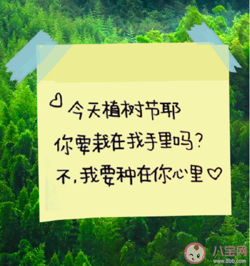 2022植樹節可愛文案句子最新 適合植樹節發的微信說說句子