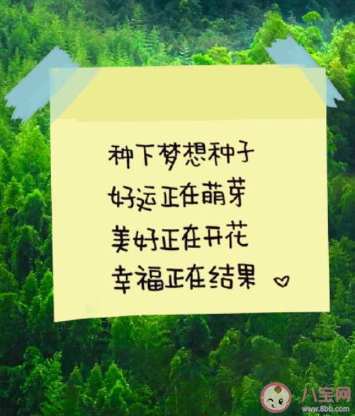 2022植樹節可愛文案句子最新 適合植樹節發的微信說說句子