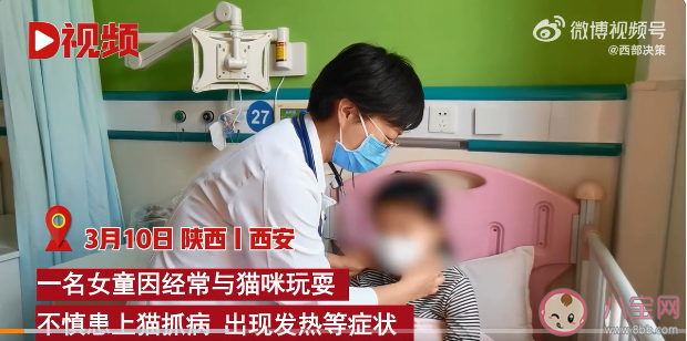 貓抓病會導致人死亡嗎 被貓抓后出現哪些癥狀要注意 貓抓病會導致人死亡嗎 被貓抓后出現哪些癥狀要注意