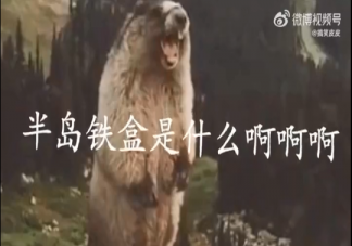 半島鐵盒是什么意思什么梗 半島鐵盒梗出處是哪里