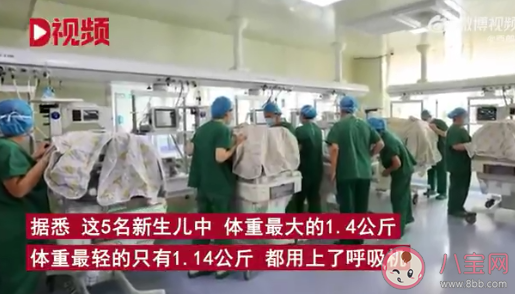 24歲產(chǎn)婦早產(chǎn)1女4男5胞胎 懷多胞胎了要注意些什么