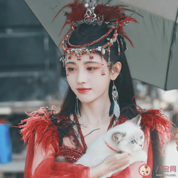 電視劇《花戎》人物關(guān)系是怎樣的 《花戎》原著小說是什么 電視劇《花戎》人物關(guān)系是怎樣的 《花戎》原著小說是什么