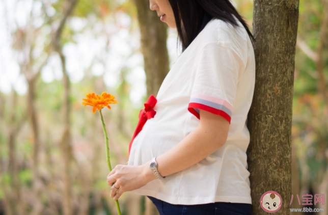 孕婦們都是工作到什么時候才休假的 休產假要考慮哪些因素 孕婦們都是工作到什么時候才休假的 休產假要考慮哪些因素